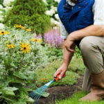 10 Essential Tools Every Gardener Needs