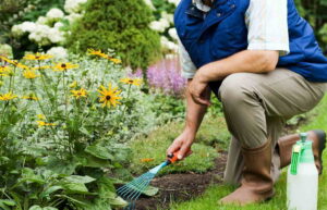 10 Essential Tools Every Gardener Needs